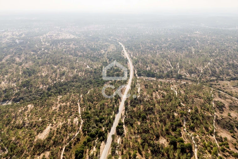 Quinta para Venda em Mora Foto 45
