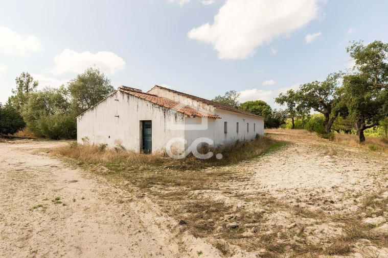 Quinta para Venda em Mora Foto 8