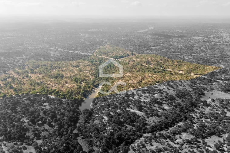 Quinta para Venda em Mora Foto 16