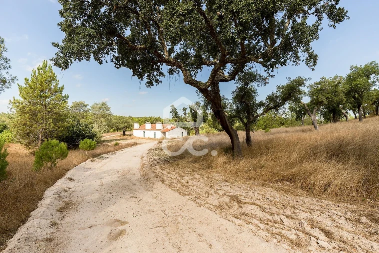 Quinta para Venda em Mora Foto 31