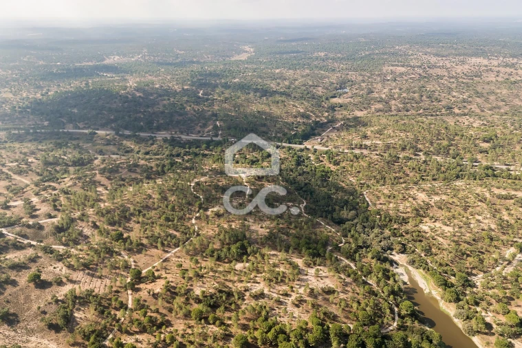 Quinta para Venda em Mora Foto 42