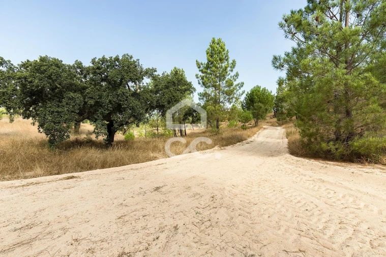 Quinta para Venda em Mora Foto 32