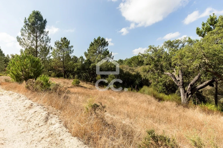 Quinta para Venda em Mora Foto 15