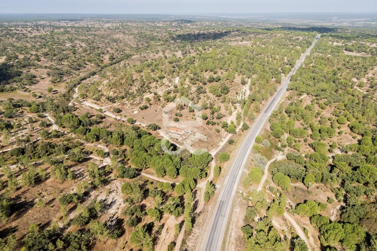 Quinta para Venda em Mora Foto 6