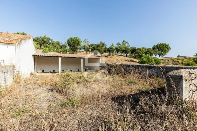 Quinta para Venda em Mora Foto 24