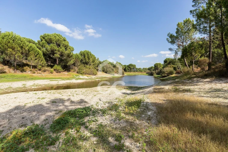 Quinta para Venda em Mora Foto 3