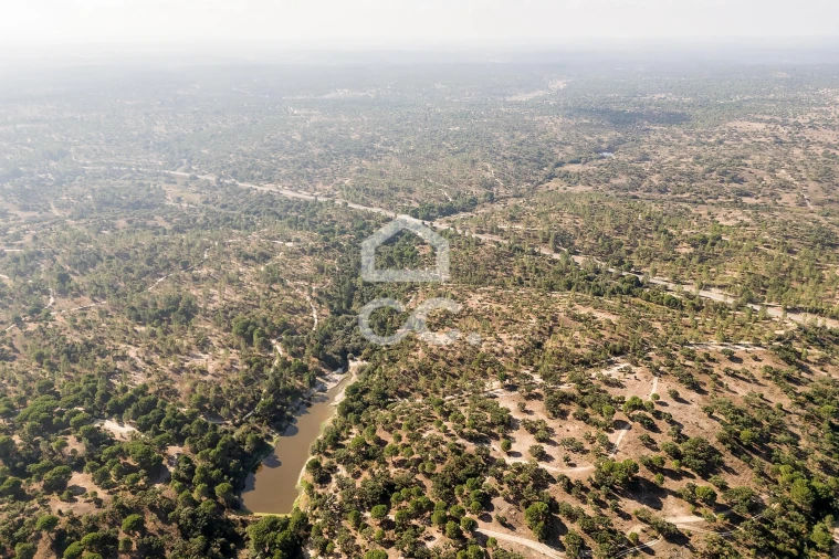 Quinta para Venda em Mora Foto 41