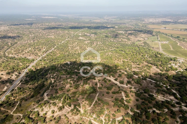 Quinta para Venda em Mora Foto 38
