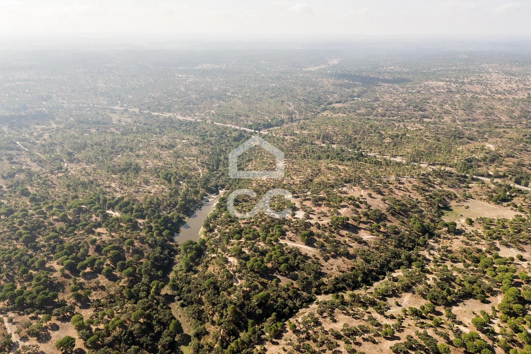 Quinta para Venda em Mora Foto 40