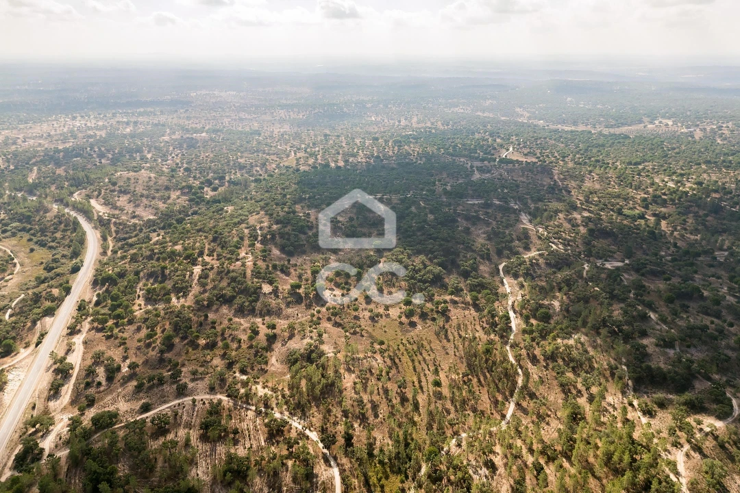 Quinta para Venda em Mora Foto 47