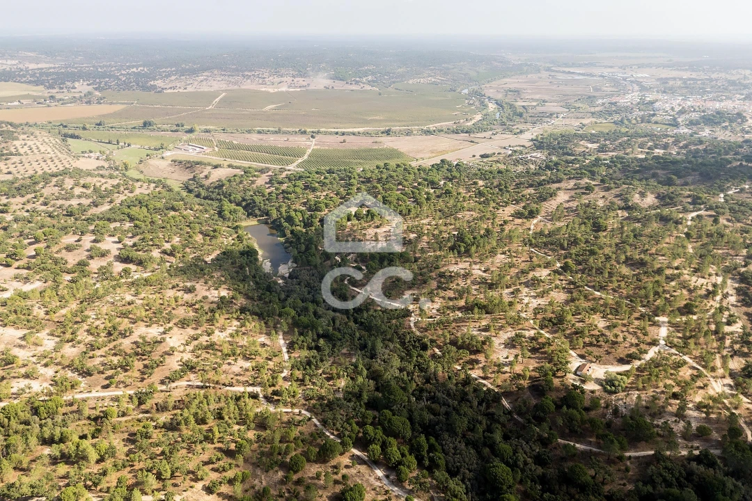 Quinta para Venda em Mora Foto 35