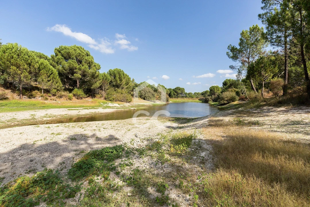 Quinta para Venda em Mora Foto 3