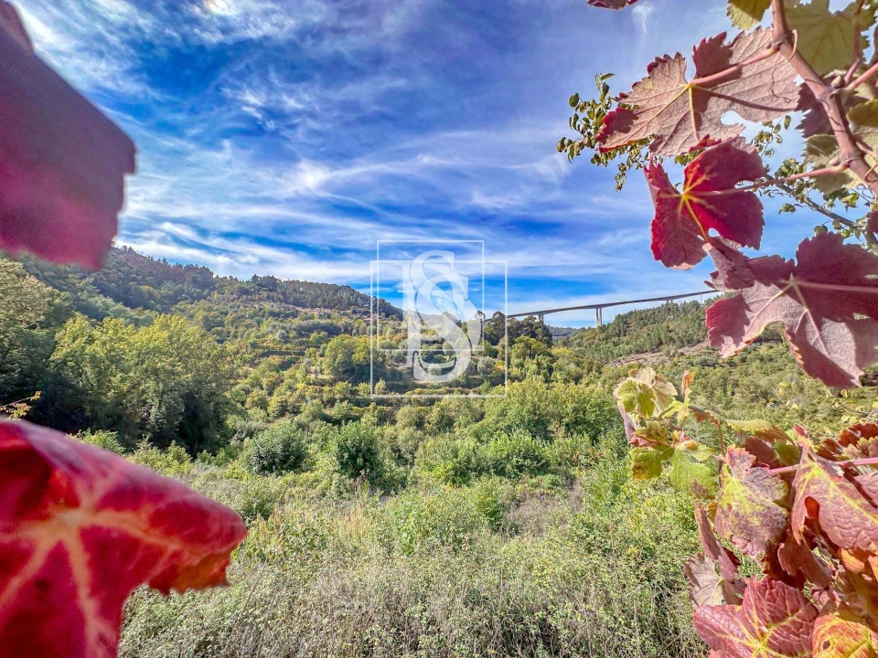 Apartamento para Venda em Candemil Foto 23