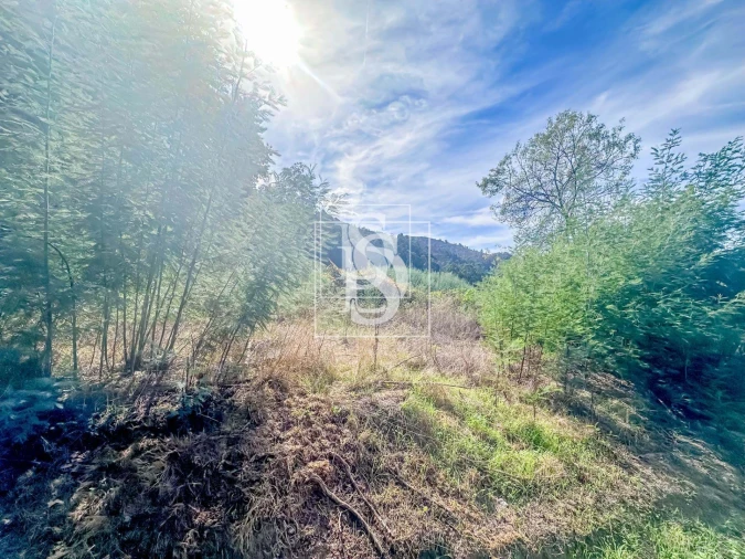 Apartamento para Venda em Candemil Foto 16