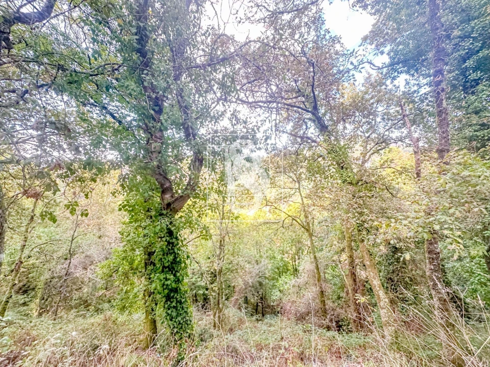 Apartamento para Venda em Candemil Foto 49