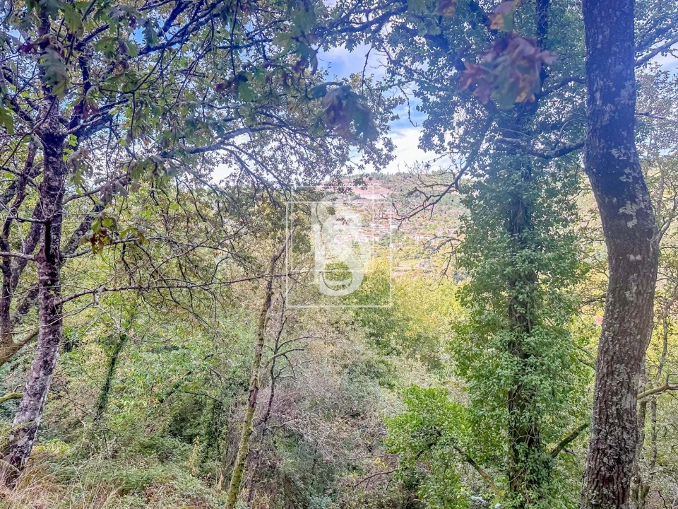 Apartamento para Venda em Candemil Foto 51