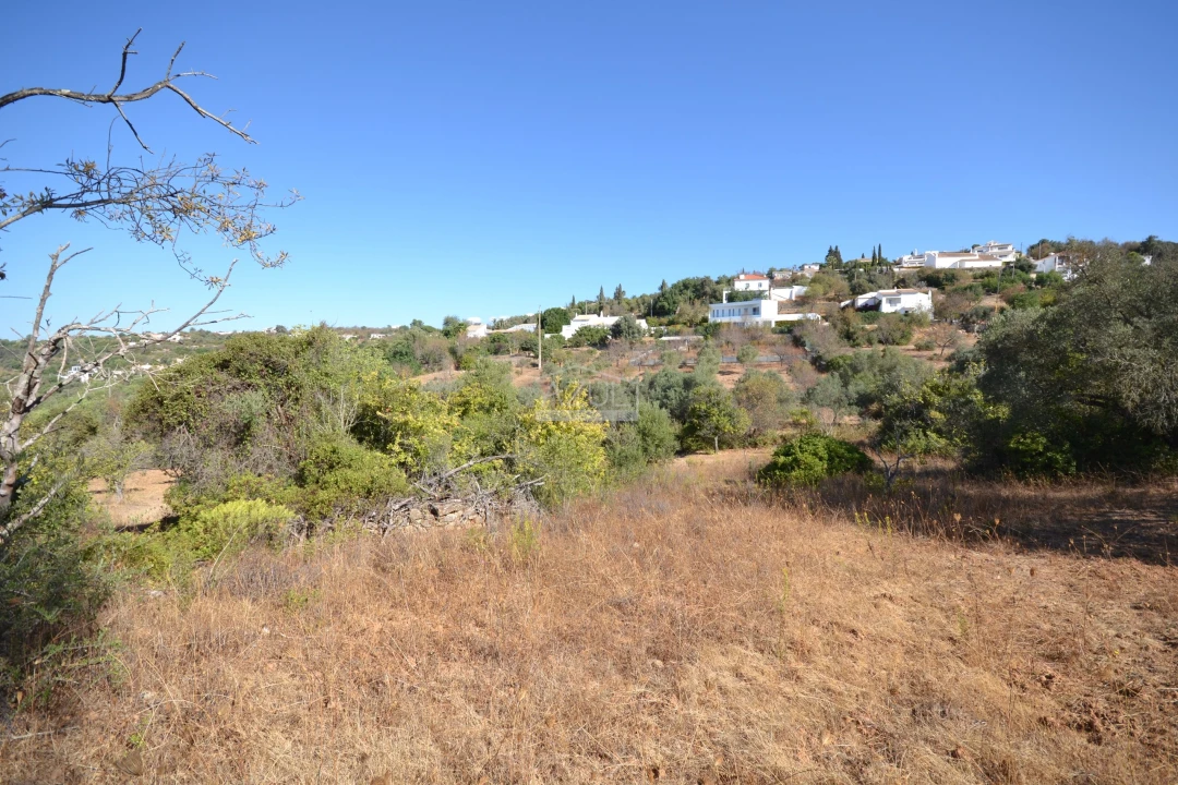 Terreno para Venda em Boliqueime Foto 1