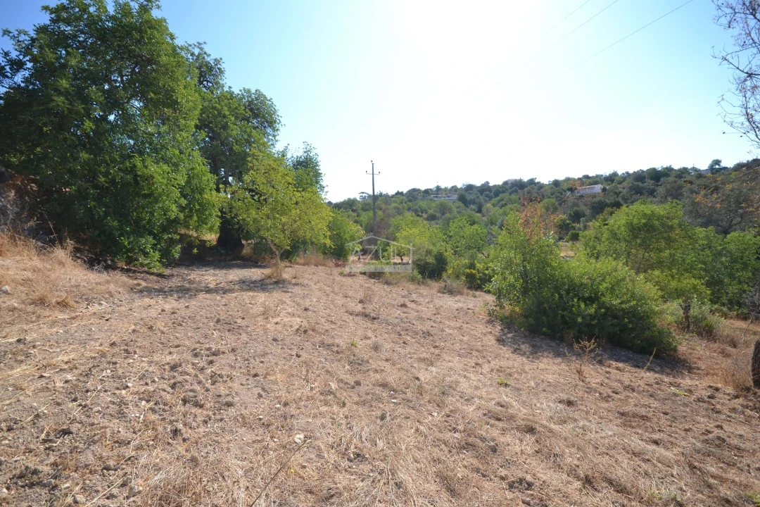 Terreno para Venda em Boliqueime Foto 13