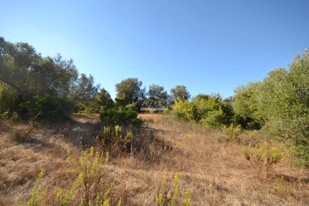 Terreno para Venda em Boliqueime Foto 20