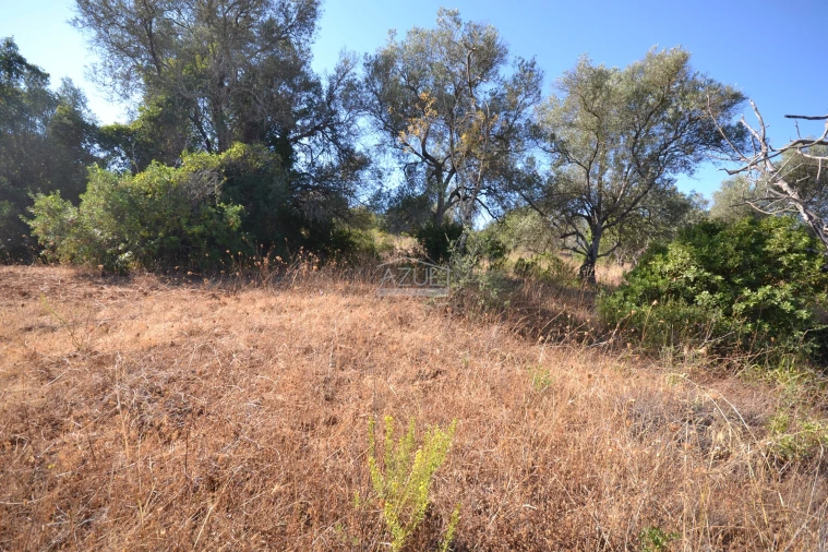 Terreno para Venda em Boliqueime Foto 25