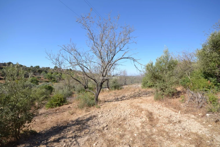 Terreno para Venda em Boliqueime Foto 15