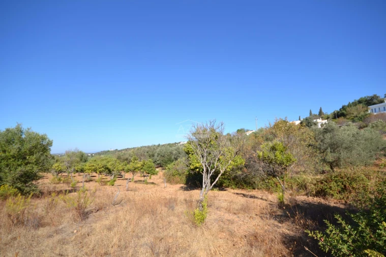 Terreno para Venda em Boliqueime Foto 6