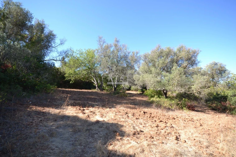 Terreno para Venda em Boliqueime Foto 18