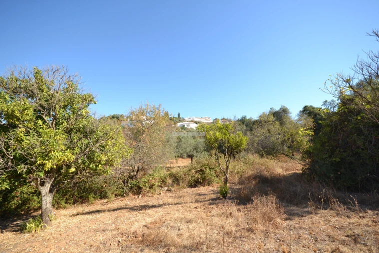Terreno para Venda em Boliqueime Foto 21
