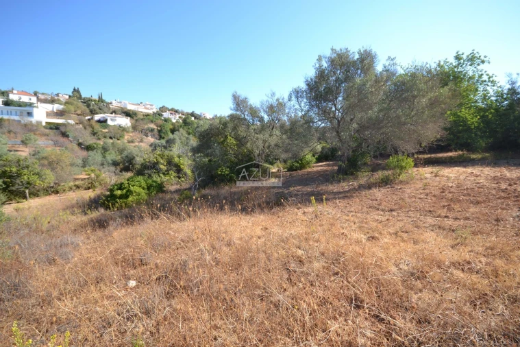 Terreno para Venda em Boliqueime Foto 26
