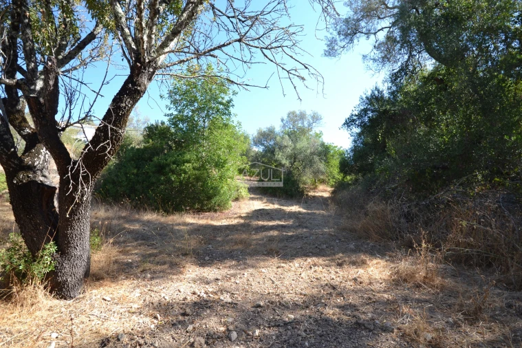 Terreno para Venda em Boliqueime Foto 7
