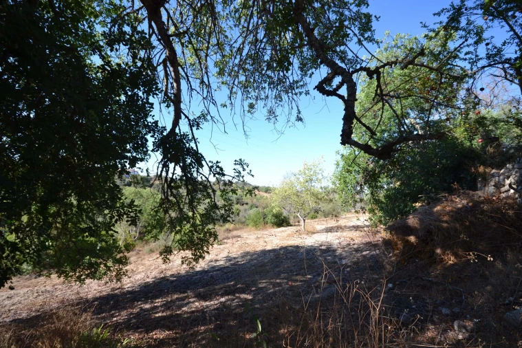 Terreno para Venda em Boliqueime Foto 3