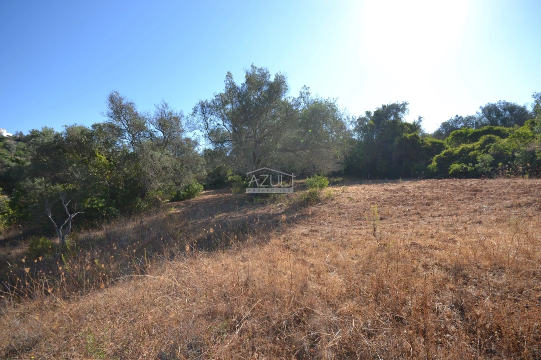 Terreno para Venda em Boliqueime Foto 23
