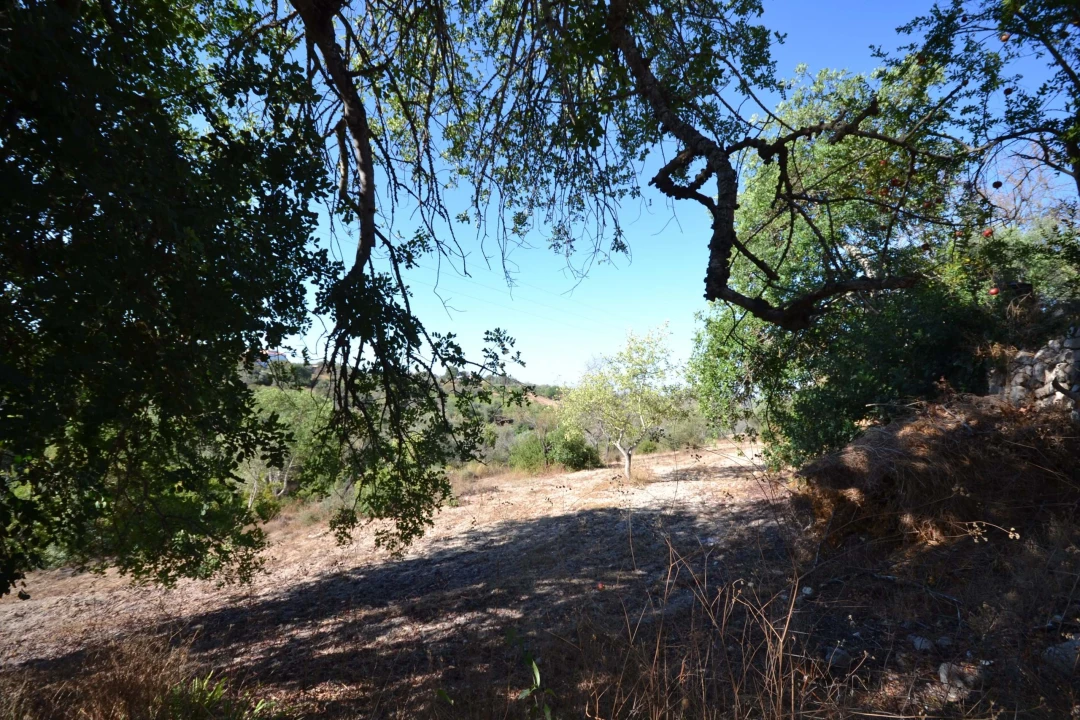 Terreno para Venda em Boliqueime Foto 3