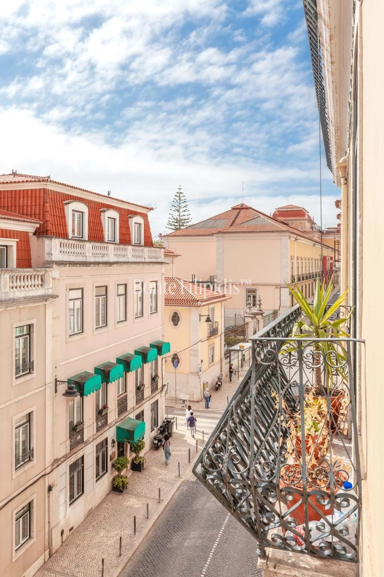 Apartamento T5 para Venda em Estrela Foto 56