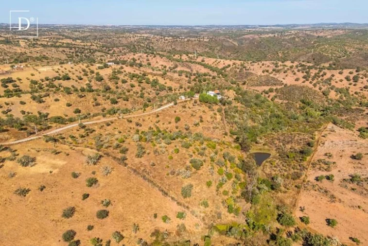 Moradia T2 para Venda em Serpa (Salvador e Santa Maria) Foto 5