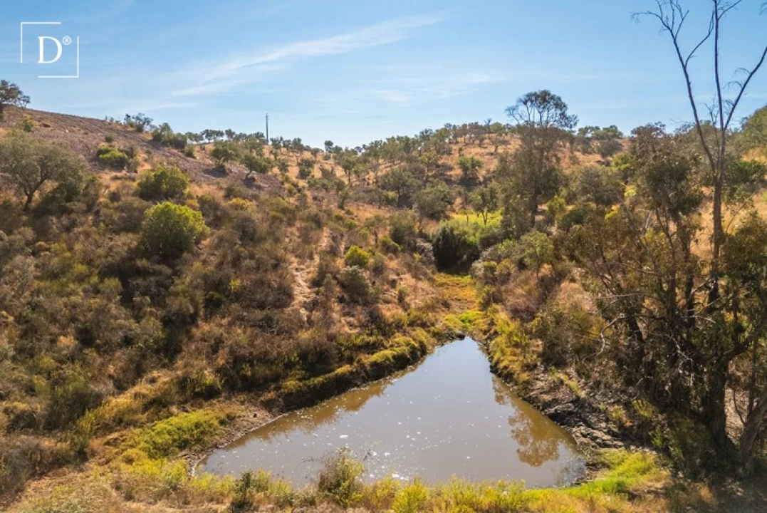 Moradia T2 para Venda em Serpa (Salvador e Santa Maria) Foto 39