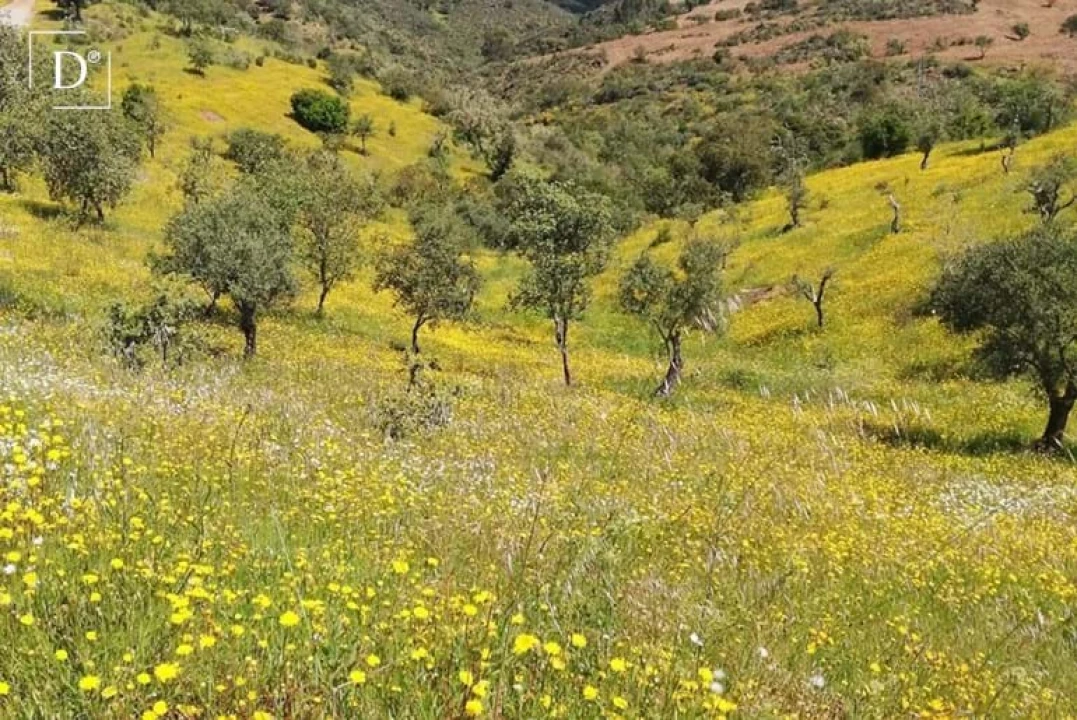 Moradia T2 para Venda em Serpa (Salvador e Santa Maria) Foto 26
