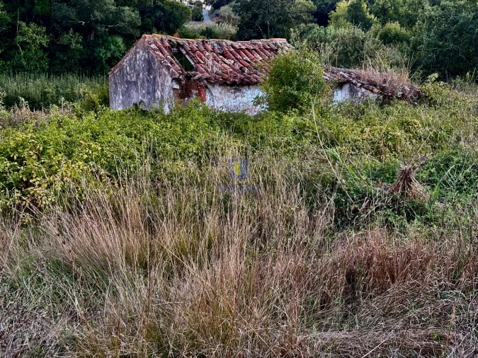 Moradia T1 para Venda em A dos Negros Foto 1