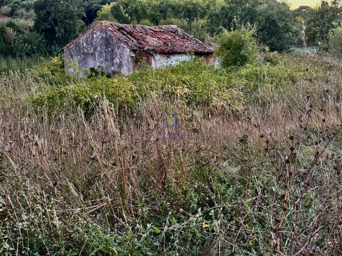 Moradia T1 para Venda em A dos Negros Foto 3