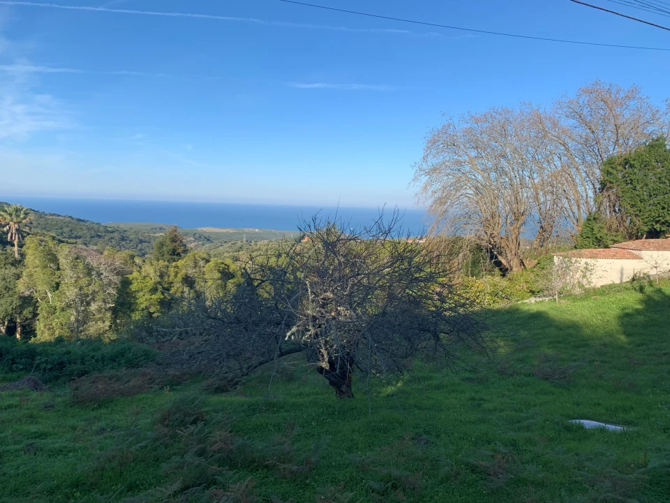 Terreno para Venda em Colares Foto 4
