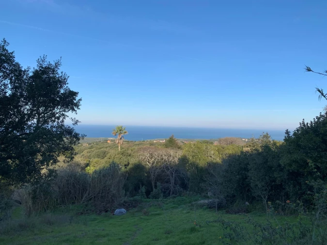 Terreno para Venda em Colares Foto 2