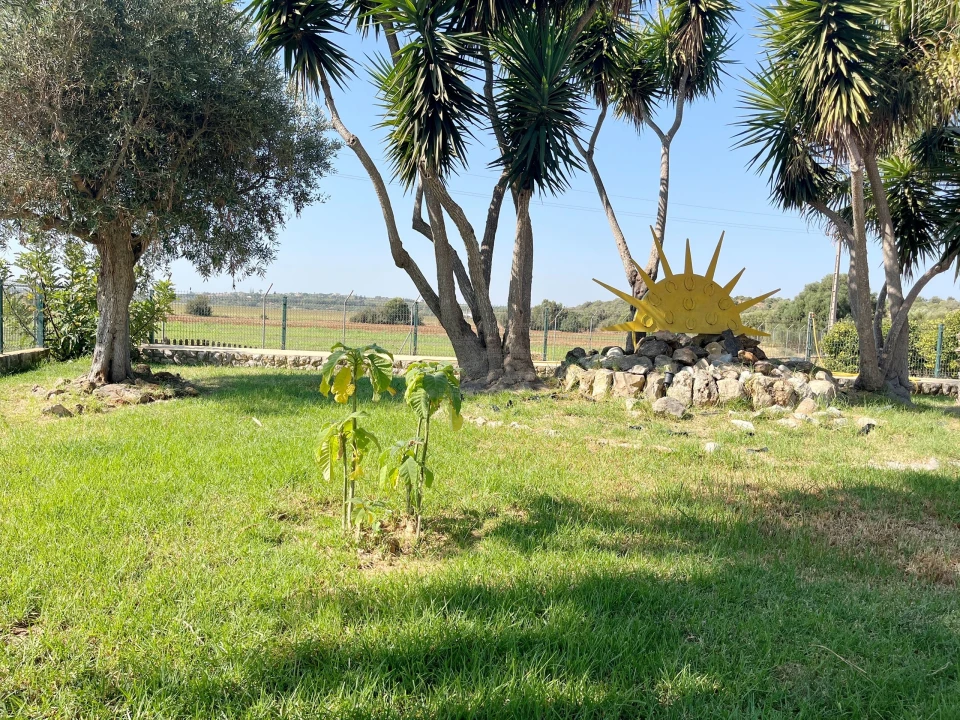 Moradia T4 para Venda em São Silvestre Foto 37