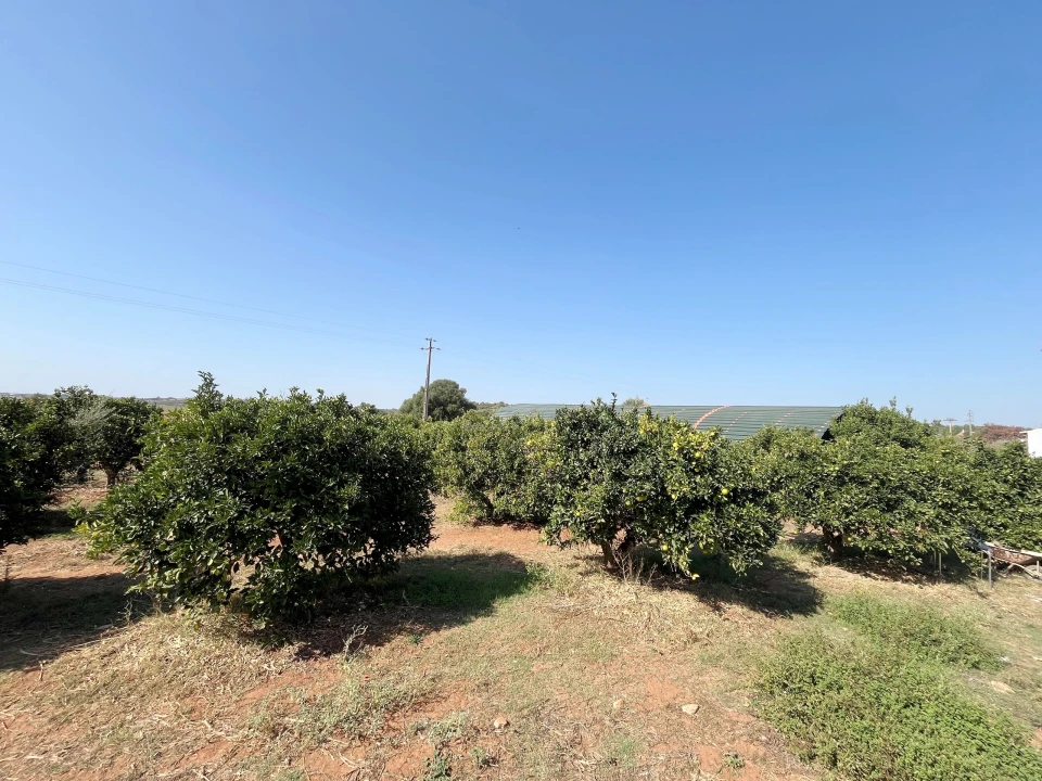 Moradia T4 para Venda em São Silvestre Foto 33