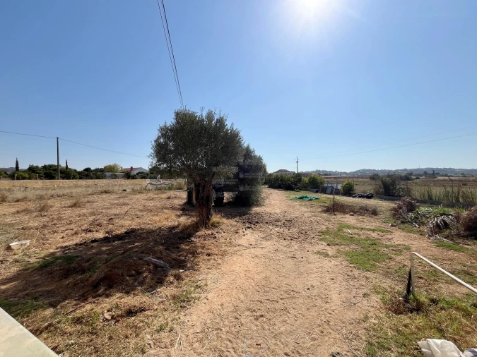 Moradia T4 para Venda em São Silvestre Foto 39