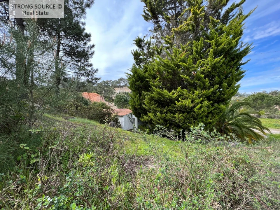 Quinta T6 para Venda em Sesimbra (Castelo) Foto 17