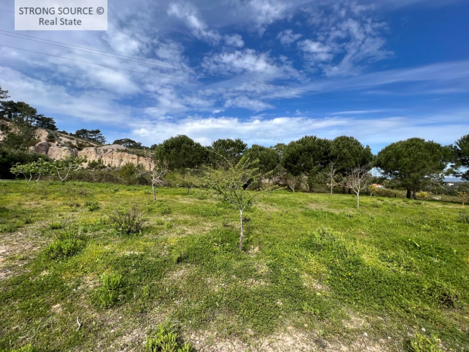 Quinta T6 para Venda em Sesimbra (Castelo) Foto 19