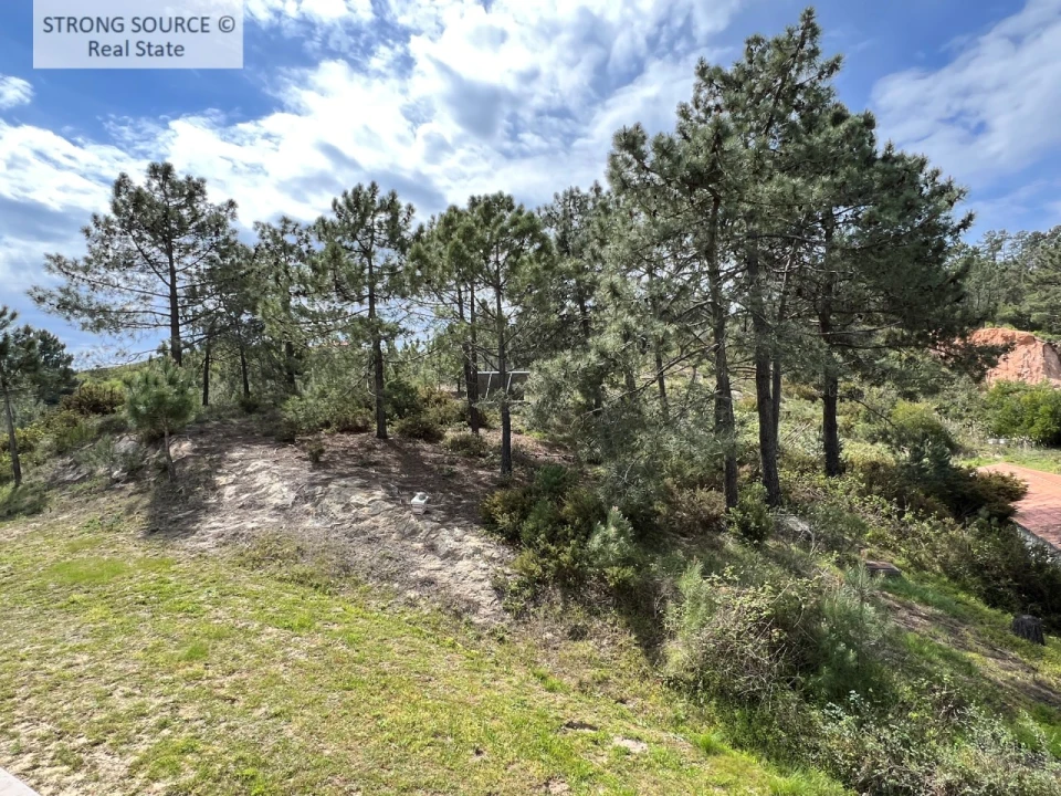 Quinta T6 para Venda em Sesimbra (Castelo) Foto 101