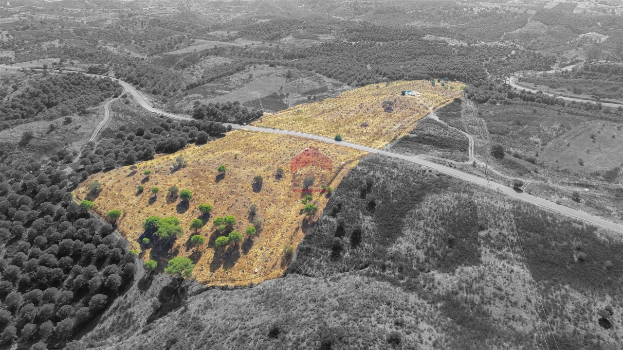 Terreno Agricola ou Rústico para Venda em Azinhal Foto 4