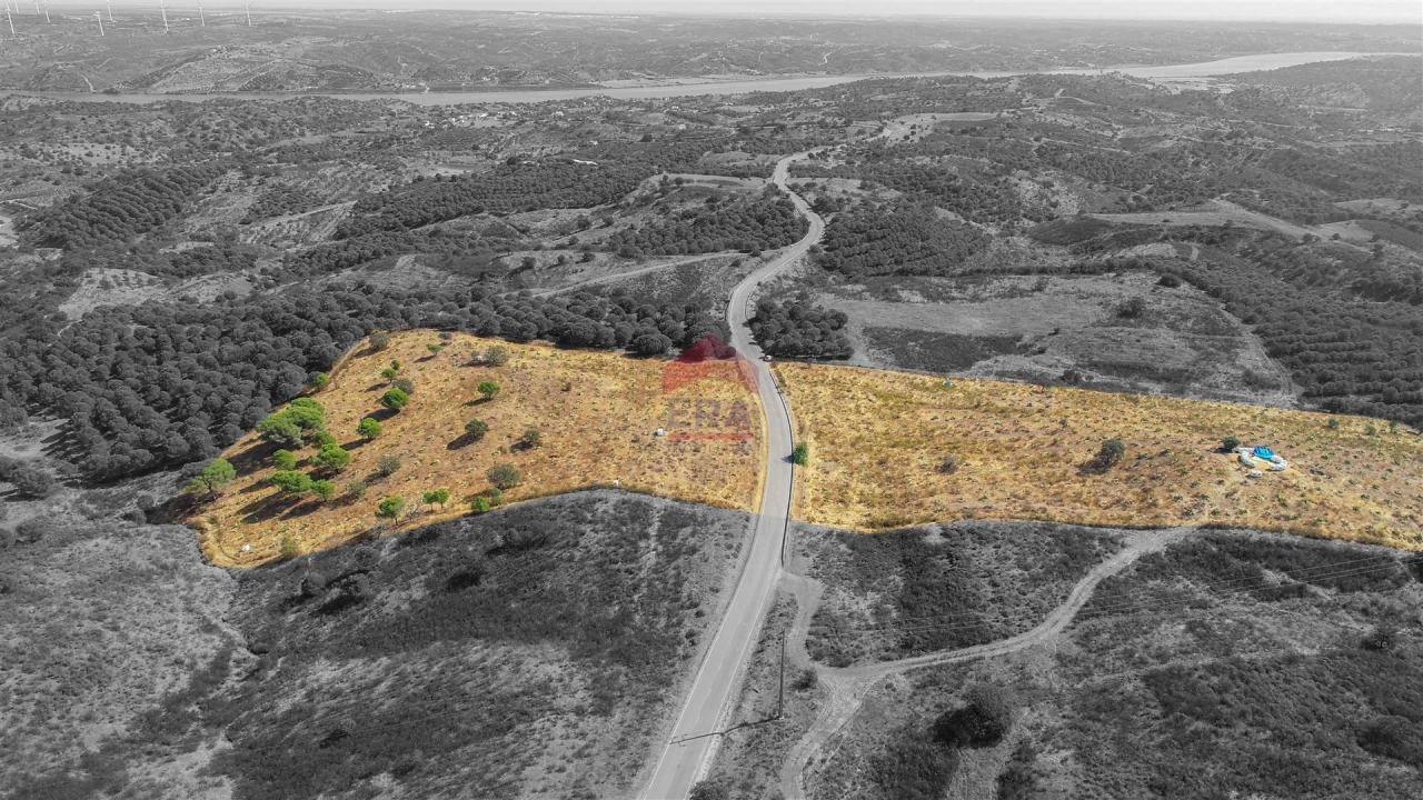 Terreno Agricola ou Rústico para Venda em Azinhal Foto 8