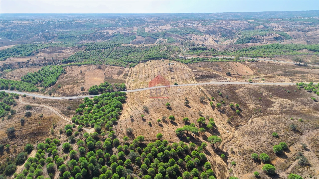 Terreno Agricola ou Rústico para Venda em Azinhal Foto 5